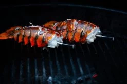 MEATER Block Met 4 Draadloze Thermometers -Outdoor Kampeeruitrusting Winkel 20190625 mg 6541