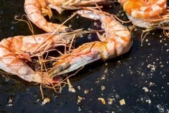 OFYR Kookboek -Outdoor Kampeeruitrusting Winkel 800 1200 cb no1 nl fr 3