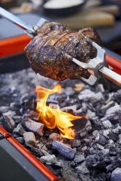 Everdure Fusion Houtskool Barbecue -Outdoor Kampeeruitrusting Winkel 900 600 brand shoot heston blumenthal 5