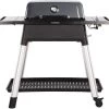 Everdure Force Gas Barbecue - Grijs 2 Everdure Force Gas Barbecue - Grijs -Outdoor Kampeeruitrusting Winkel 900 959 9312646028562