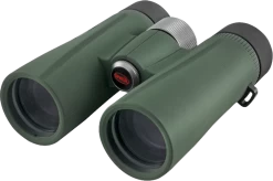 Kowa BDII XD Verrekijker - 10x42 Mm