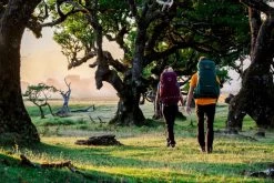 Osprey Renn Backpack - 65 Liter - Donkergrijs 29 Osprey Renn Backpack - 65 Liter - Donkergrijs -Outdoor Kampeeruitrusting Winkel osprey rennrook 2